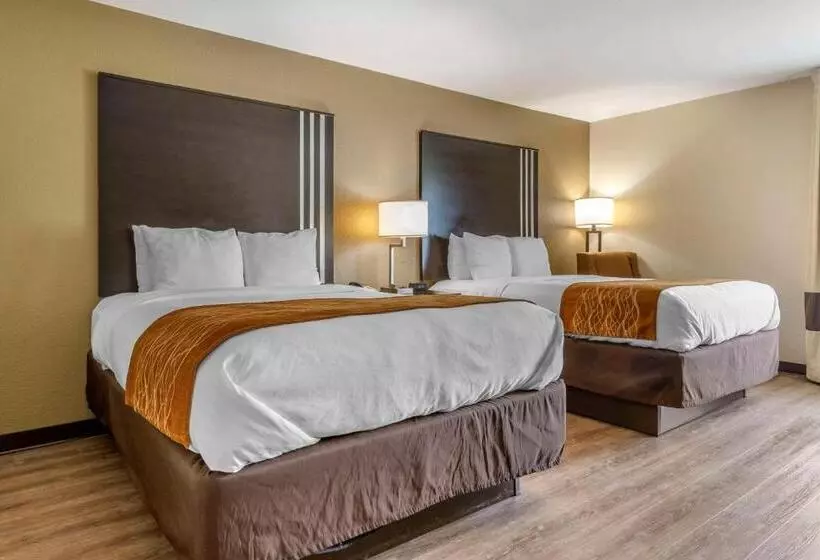 スタンダードルーム, Comfort Inn Near Downtown & Blue Ridge Pkwy