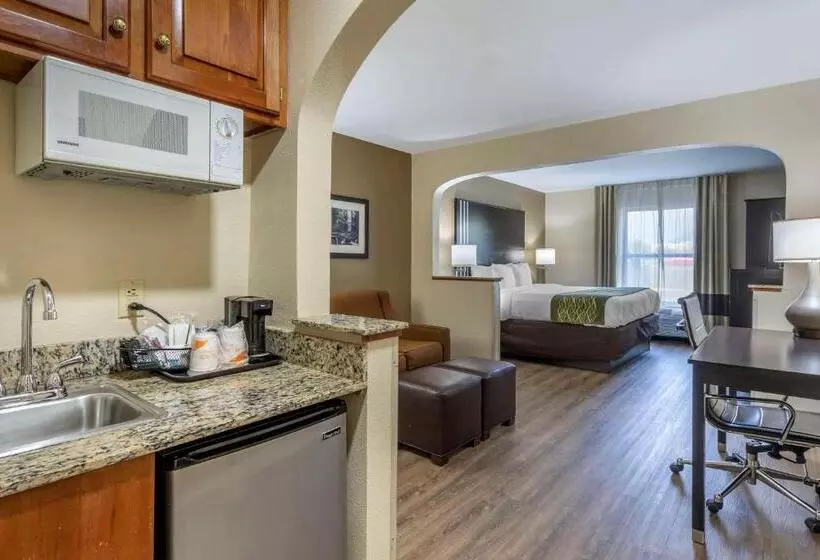 キングサイズベッドのスイートルーム, Comfort Inn Near Downtown & Blue Ridge Pkwy