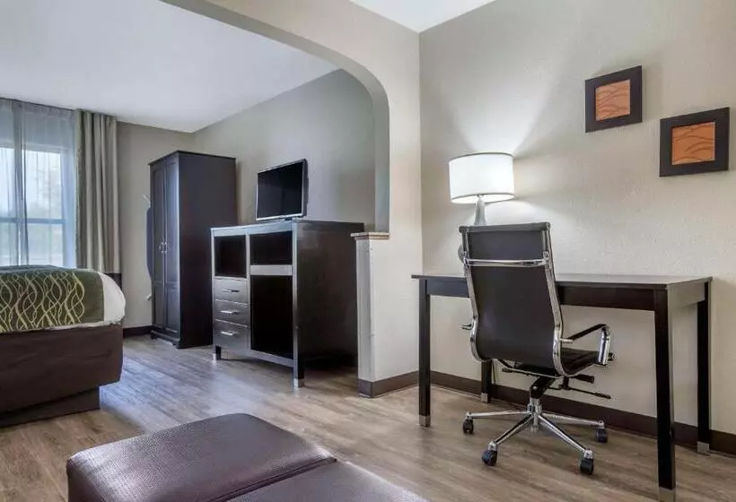 キングサイズベッドのスイートルーム, Comfort Inn Near Downtown & Blue Ridge Pkwy
