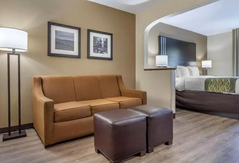 キングサイズベッドのスイートルーム, Comfort Inn Near Downtown & Blue Ridge Pkwy