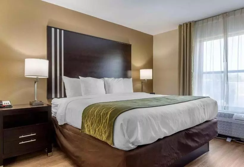 キングサイズベッドのスイートルーム, Comfort Inn Near Downtown & Blue Ridge Pkwy