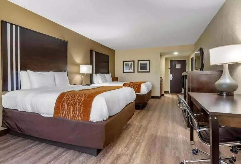 スイート, Comfort Inn Near Downtown & Blue Ridge Pkwy