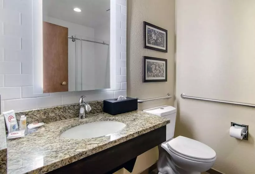 スイート, Comfort Inn St Robert Fort Leonard Wood