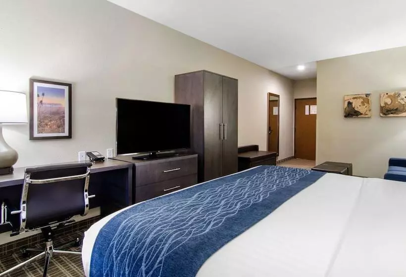 スイート, Comfort Inn St Robert Fort Leonard Wood