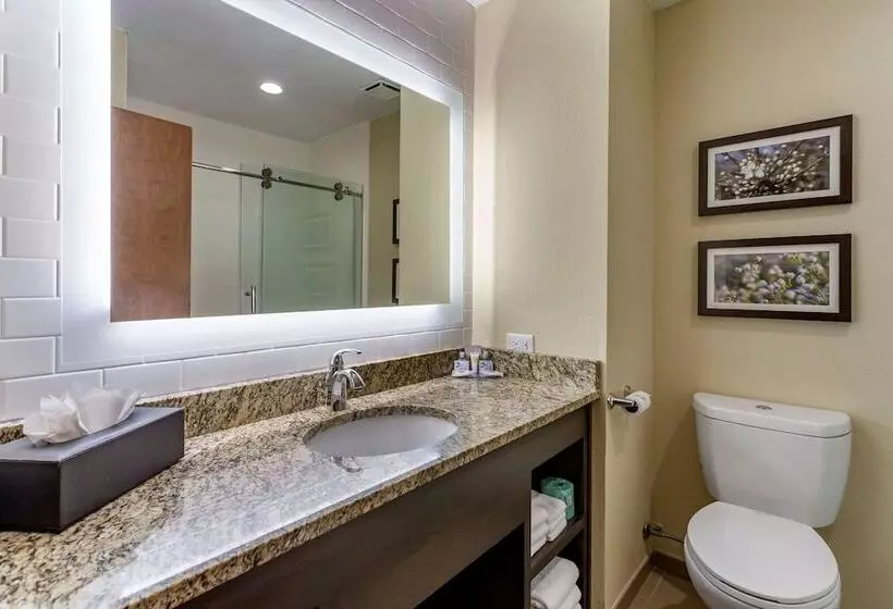 スイート, Comfort Inn St Robert Fort Leonard Wood