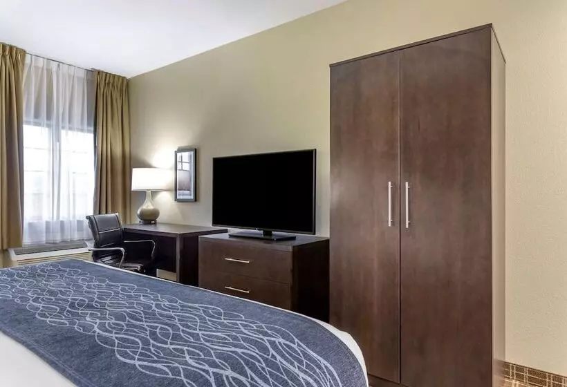 スイート, Comfort Inn St Robert Fort Leonard Wood