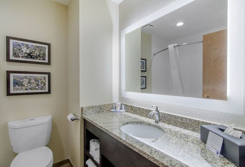 סוויטה, Comfort Inn St Robert Fort Leonard Wood