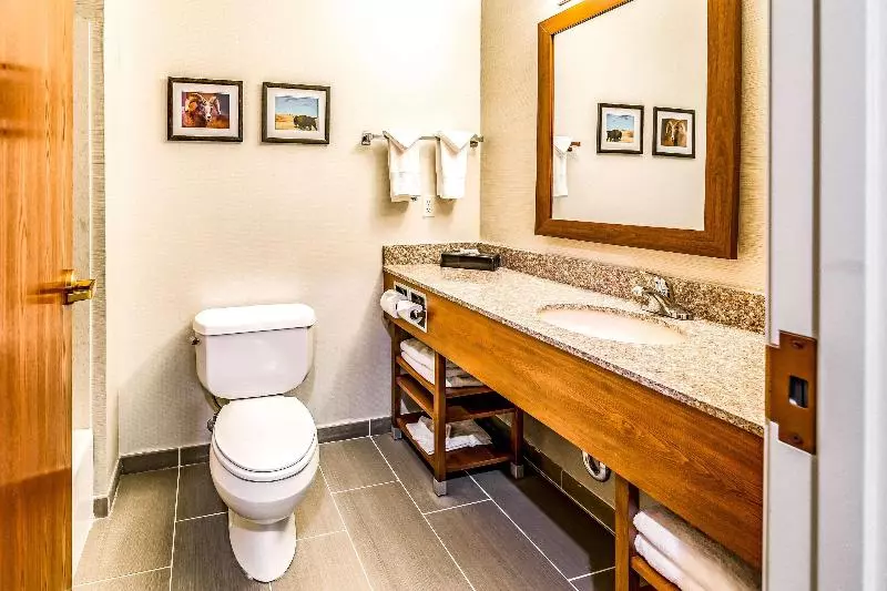 キングサイズベッドのスイートルーム, Comfort Inn & Suites