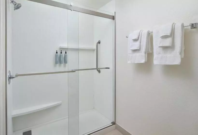 سوئیت با تخت بزرگ, Courtyard Baton Rouge Siegen Lane