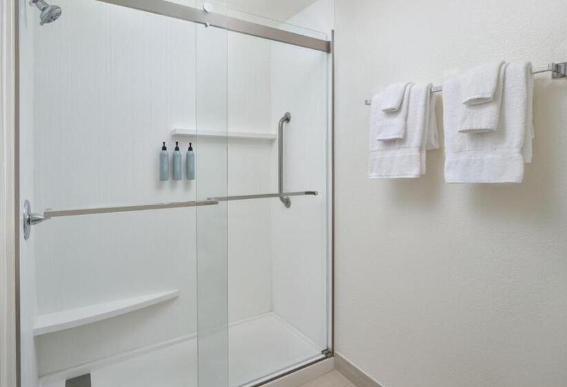 اتاق استاندارد با تخت بزرگ برای معلولان, Courtyard Baton Rouge Siegen Lane