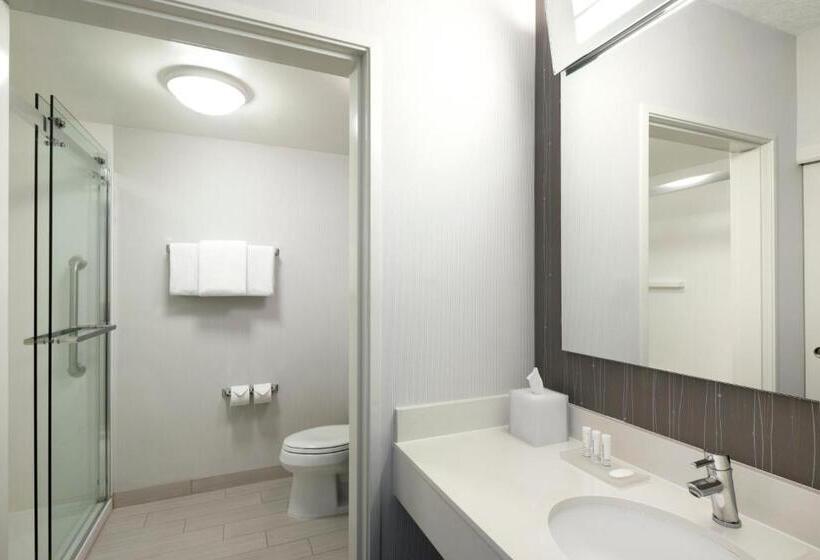 Стандартный Номер Кровать Кинг, Courtyard By Marriott Austin Round Rock