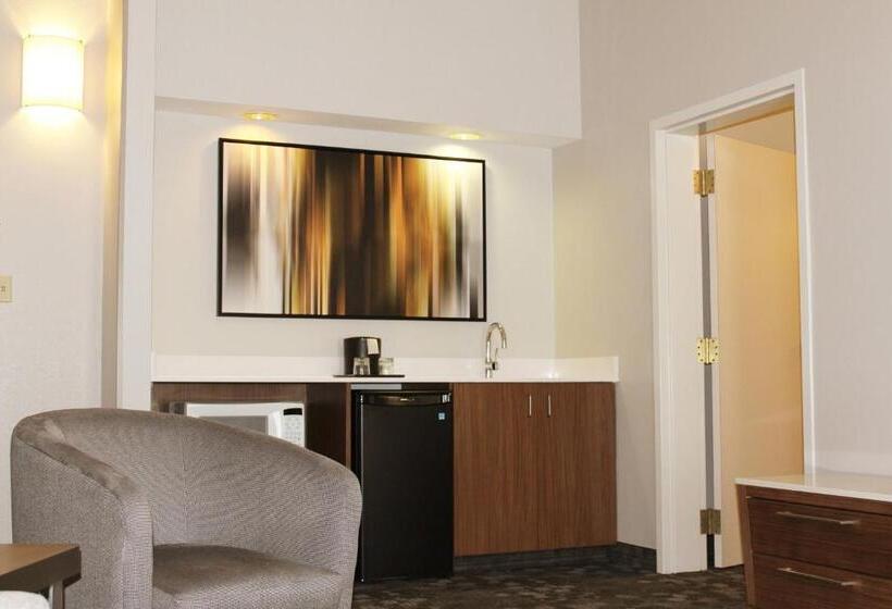 Люкс Кровать Кинг, Courtyard By Marriott Austin Round Rock