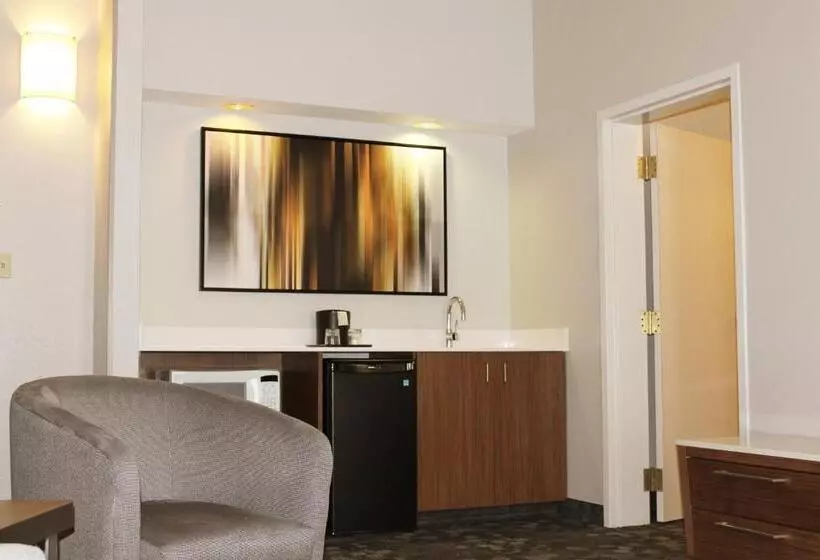 キングサイズベッドのスイートルーム, Courtyard By Marriott Austin Round Rock