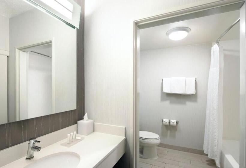 Номер Стандарт Кровать Кинг Адаптированный для Инвалидов, Courtyard By Marriott Austin Round Rock