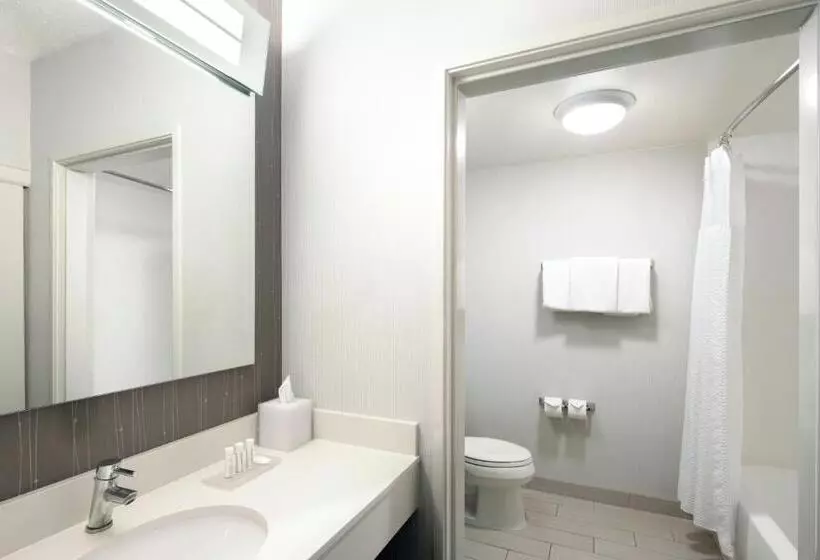 身障者適用キングサイズベッドルーム, Courtyard By Marriott Austin Round Rock
