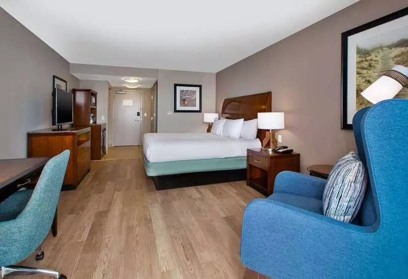 Standard-huone, Hilton Daytona Beach Oceanfront Resort