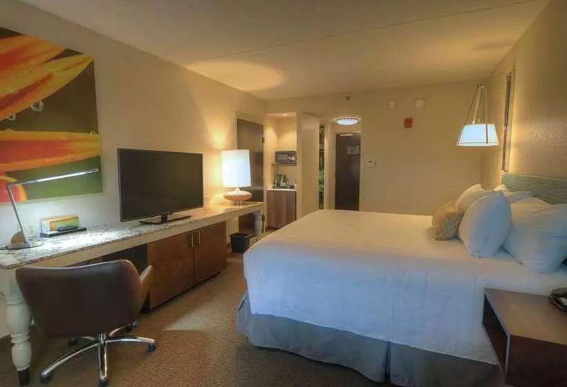 Standard-huone King-vuode, Hilton Daytona Beach Oceanfront Resort