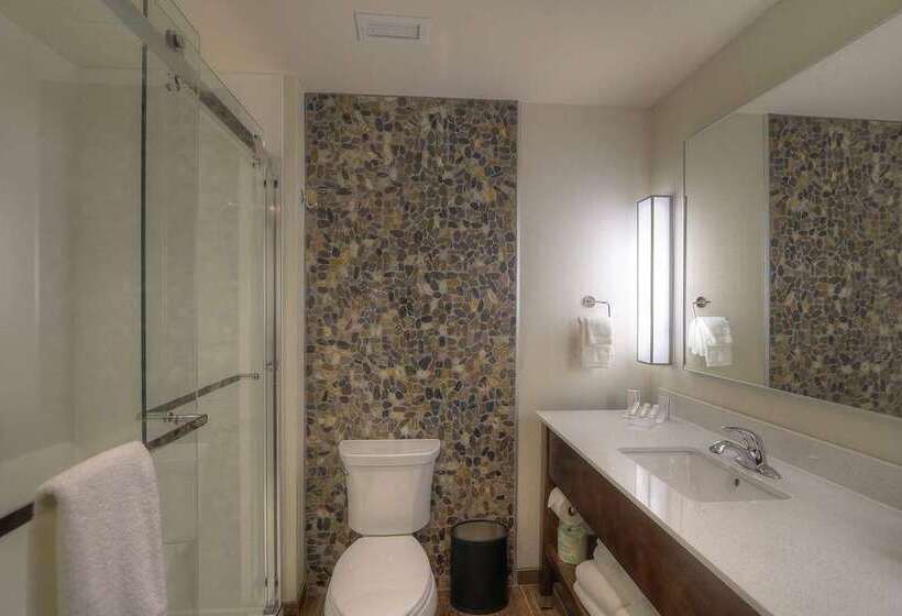 Стандартный Номер Кровать Кинг, Hilton Daytona Beach Oceanfront Resort