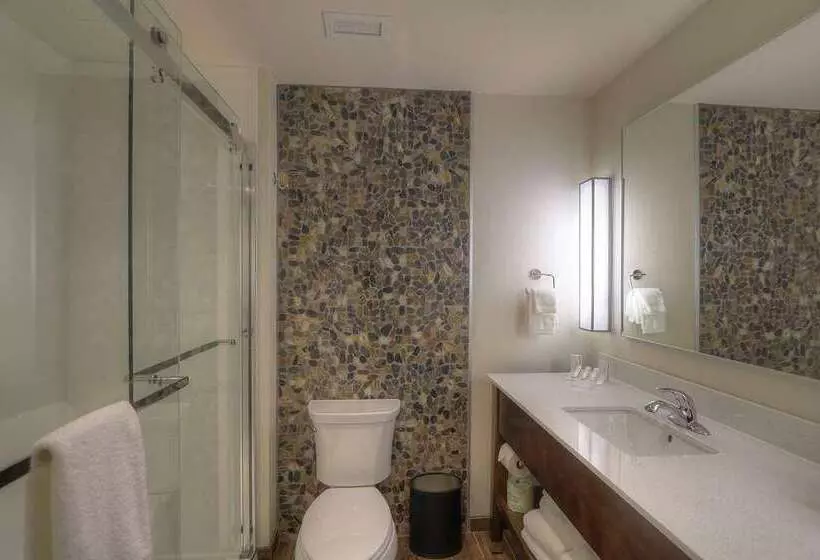 Standard-huone King-vuode, Hilton Daytona Beach Oceanfront Resort
