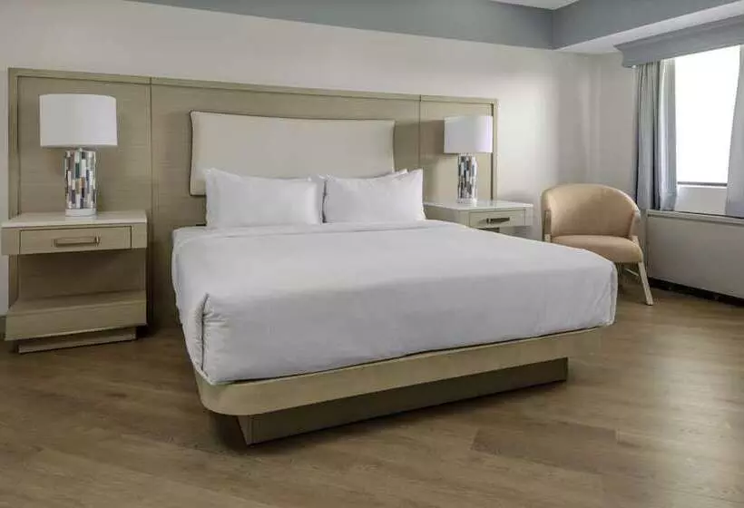 Standard-huone, Hilton Daytona Beach Oceanfront Resort