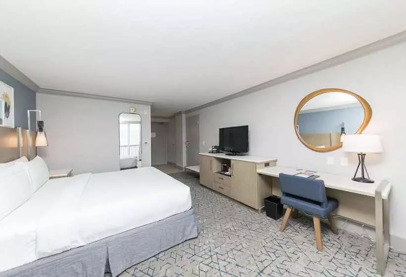 Standard-huone, Hilton Daytona Beach Oceanfront Resort