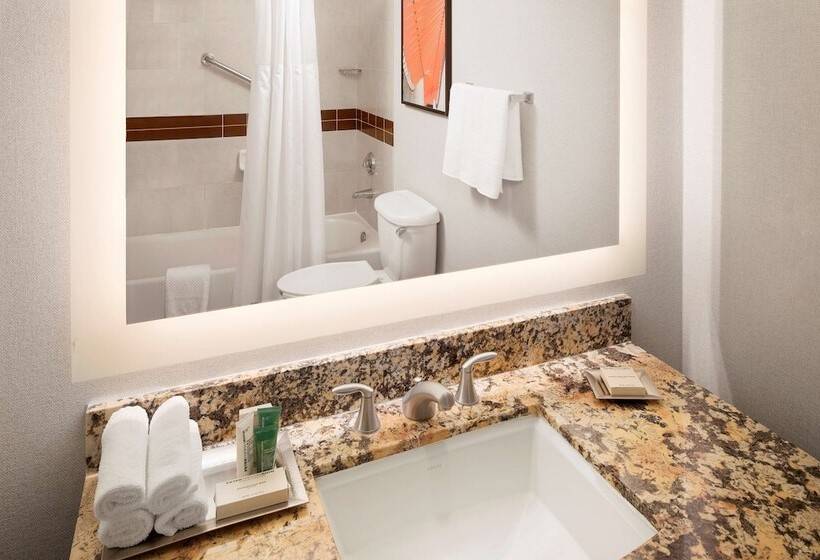 غرفة قياسية لذوى الاحتياجات الخاصة, Hilton University Of Florida Conference Center Gainesville