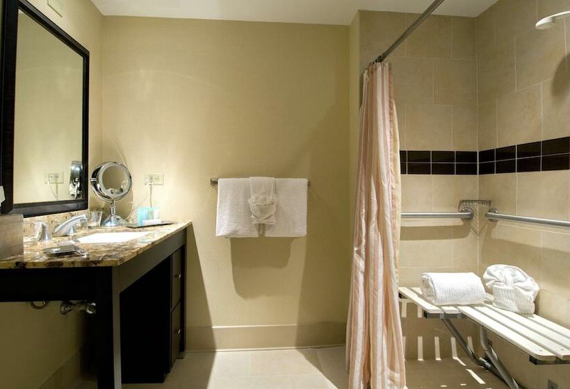 غرفة قياسية لذوى الاحتياجات الخاصة, Hilton University Of Florida Conference Center Gainesville