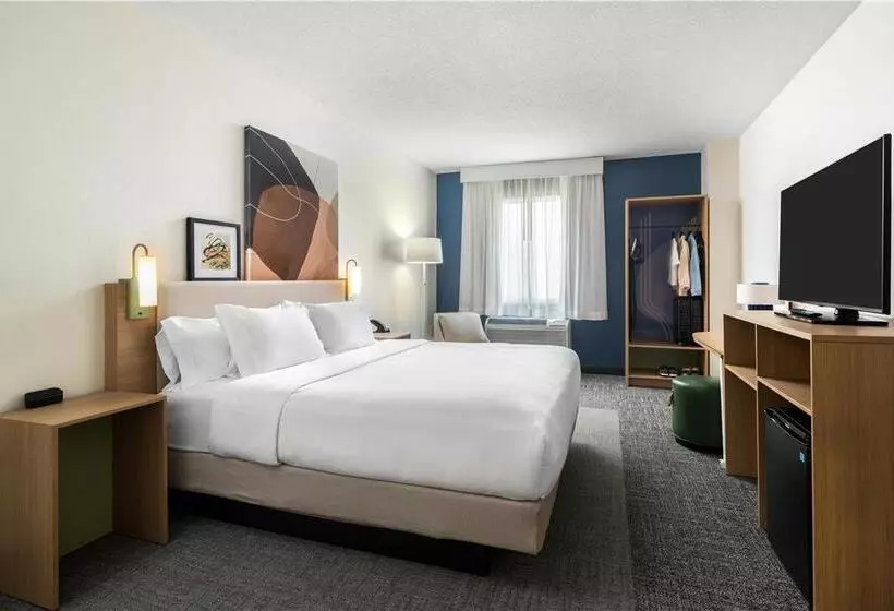 اتاق استاندارد با تخت بزرگ برای معلولان, Hilton University Of Florida Conference Center Gainesville