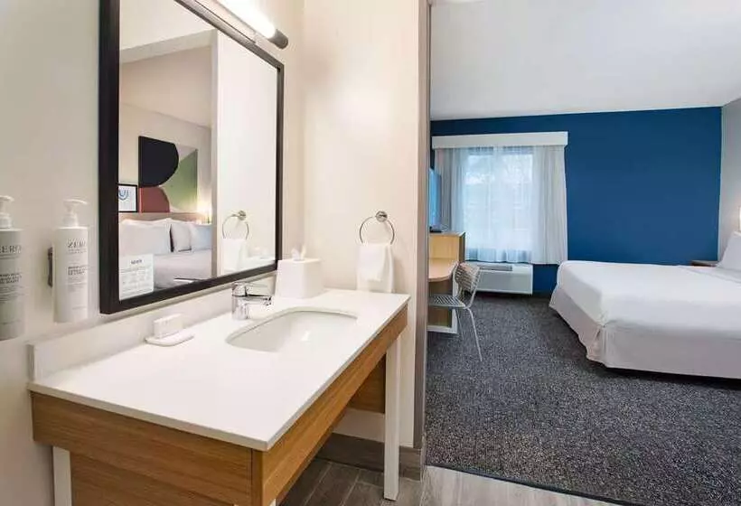 اتاق استاندارد با تخت بزرگ برای معلولان, Hilton University Of Florida Conference Center Gainesville