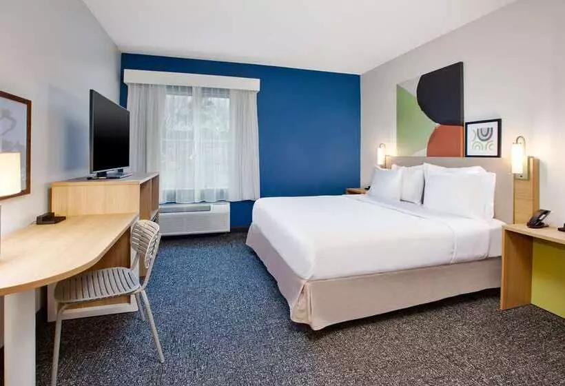 اتاق استاندارد با تخت بزرگ برای معلولان, Hilton University Of Florida Conference Center Gainesville