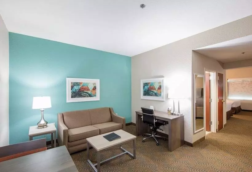 スイート, Holiday Inn Hotel & Suites Lake City, An Ihg