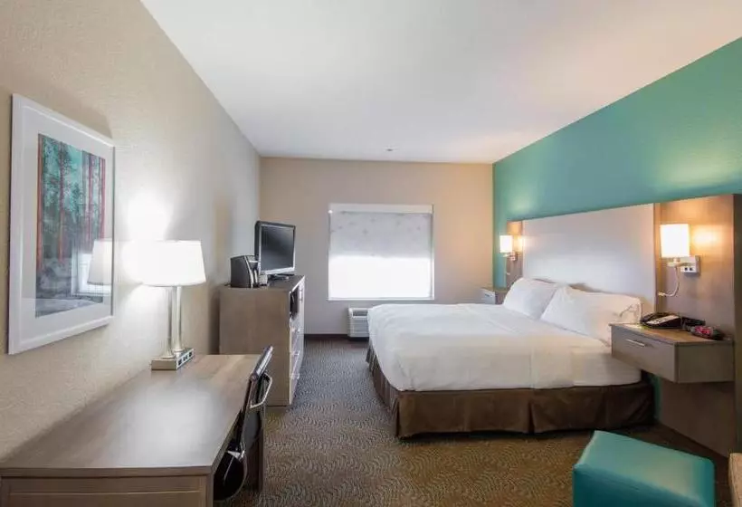キングサイズベッドのスタンダードルーム, Holiday Inn Hotel & Suites Lake City, An Ihg