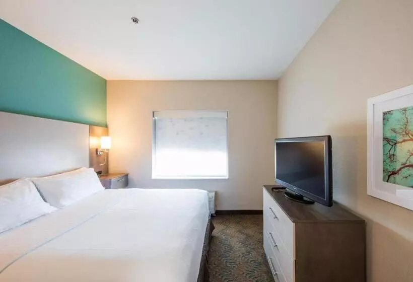 キングサイズベッドのスイートルーム, Holiday Inn Hotel & Suites Lake City, An Ihg
