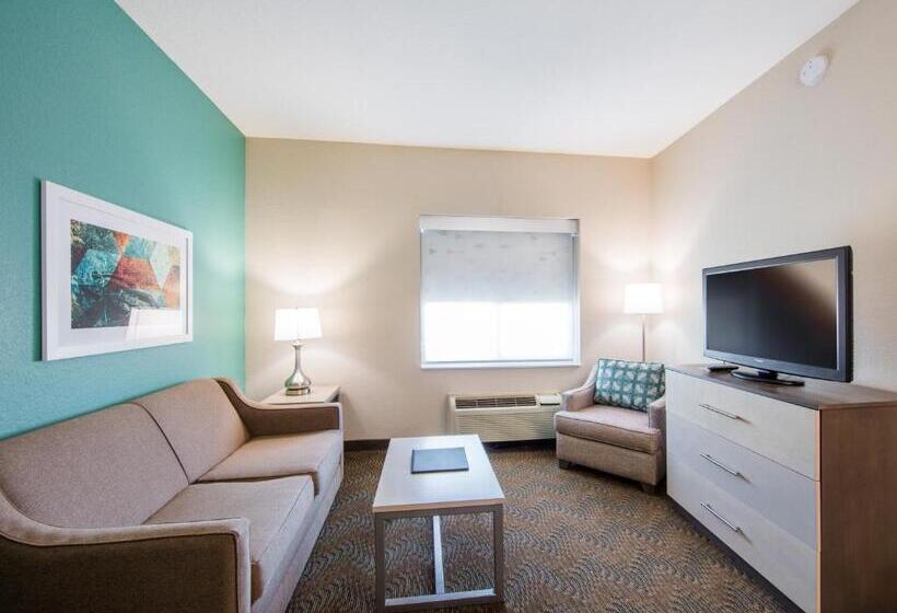 Люкс Кровать Кинг, Holiday Inn Hotel & Suites Lake City, An Ihg