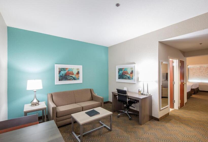Люкс, Holiday Inn Hotel & Suites Lake City, An Ihg