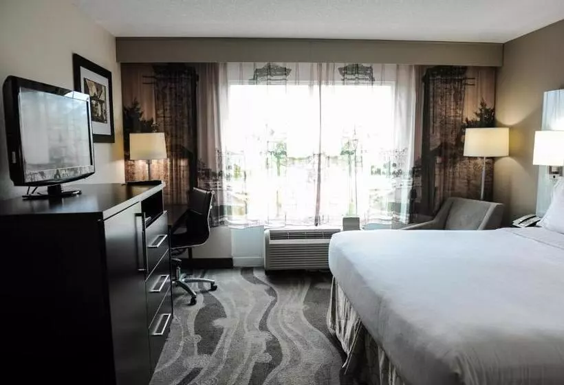キングサイズベッドのスタンダードルーム, Hampton Inn St. Augustine Downtown Historic District