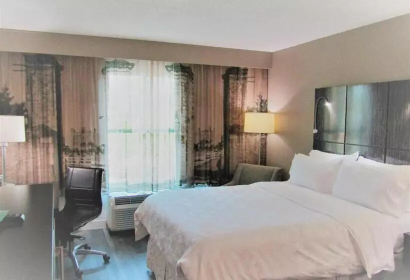 キングサイズベッドのスタンダードルーム, Hampton Inn St. Augustine Downtown Historic District
