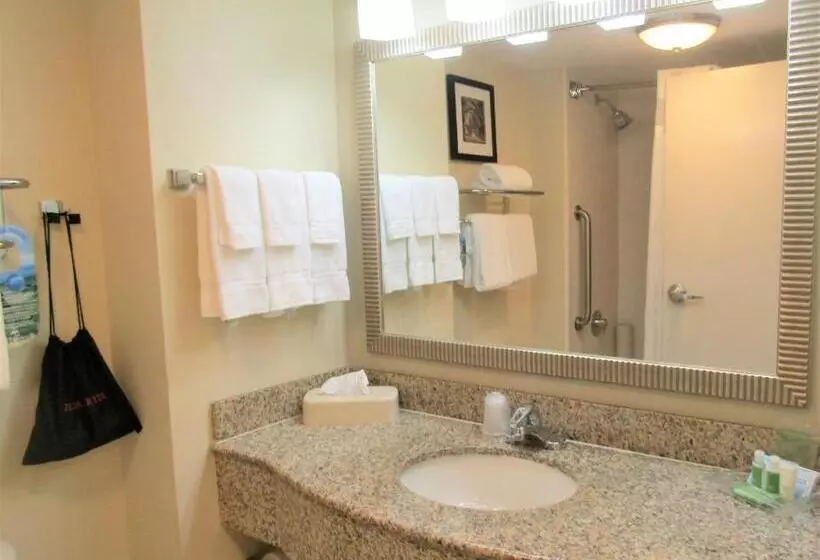 身障者適用スイートルーム, Hampton Inn St. Augustine Downtown Historic District