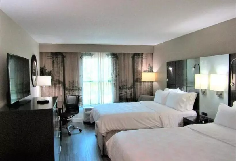 身障者適用スタンダードルーム, Hampton Inn St. Augustine Downtown Historic District