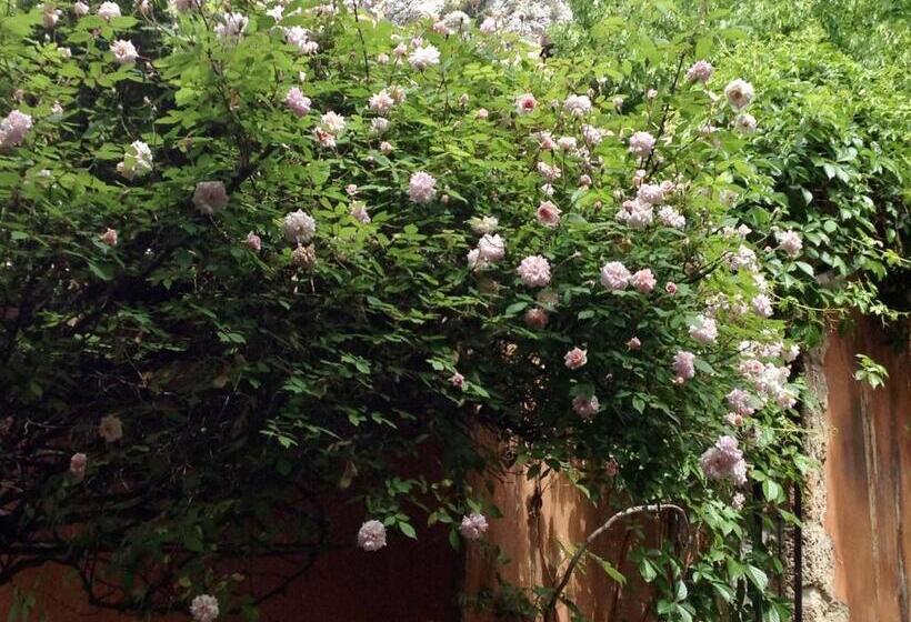 スタンダードインサイドビュールーム, La Bouscatière