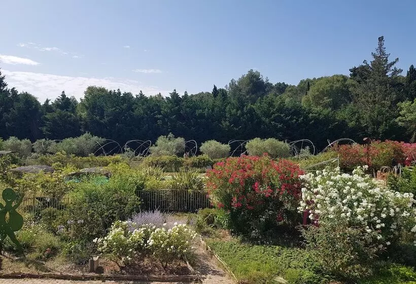 اتاق استاندارد, Mas Des Figues Mas Xviiie Ouvert 01 Mai Au 30 Septembre 2025 Piscine Très Calme Alpilles Sai