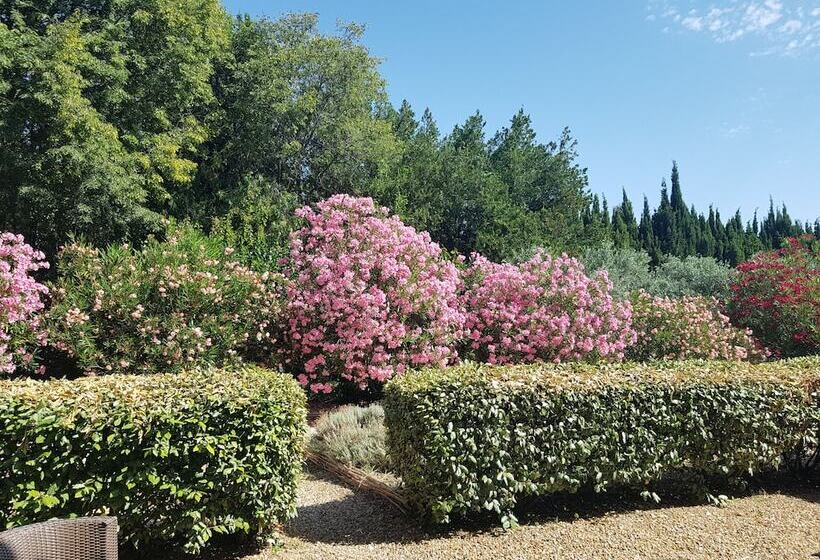 غرفة قياسية, Mas Des Figues   Mas Xviiie   Ouvert 01 Mai Au 30 Septembre 2025   Piscine Très Calme   Alpilles Sai