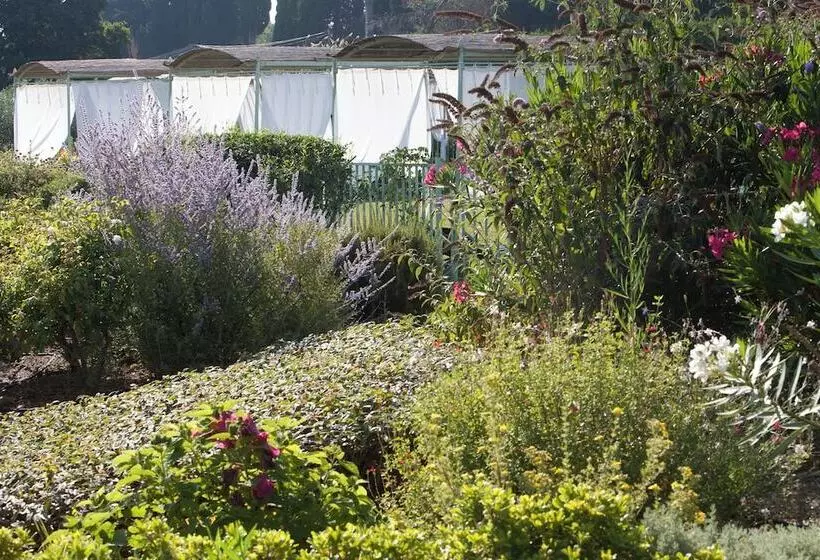 اتاق لوکس, Mas Des Figues Mas Xviiie Ouvert 01 Mai Au 30 Septembre 2025 Piscine Très Calme Alpilles Sai