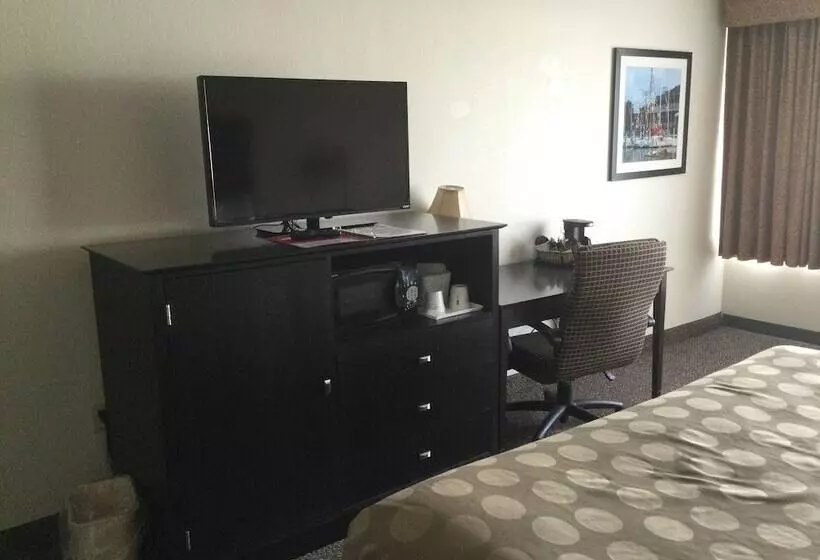 身障者適用ダブルベッド付きスタンダードルーム, Ramada By Wyndham Grayling Hotel & Conference Center