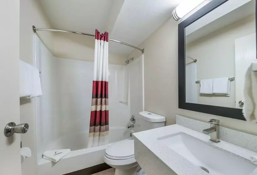 キングサイズベッドのデラックスルーム, Red Roof Inn & Suites Denton