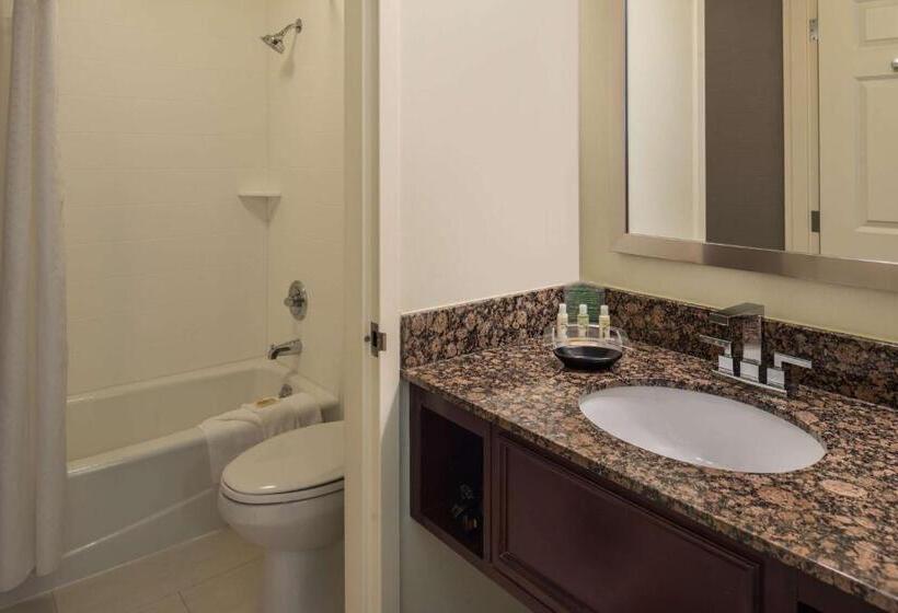 스탠다드 룸 킹사이즈 침대, Sonesta Chicago O Hare Airport Rosemont