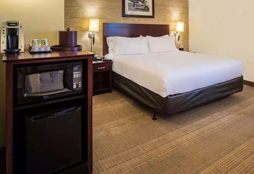 اتاق استاندارد با تخت بزرگ, Sonesta Chicago O Hare Airport Rosemont