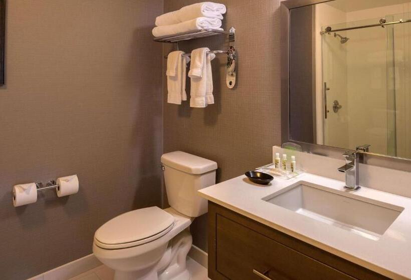 스위트 킹사이즈 침대, Sonesta Chicago O Hare Airport Rosemont