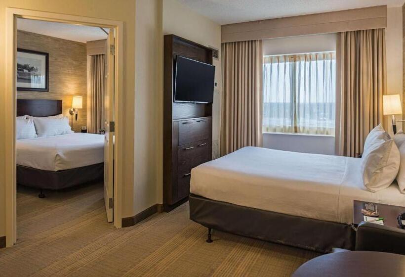 장애인용 디럭스룸, Sonesta Chicago O Hare Airport Rosemont