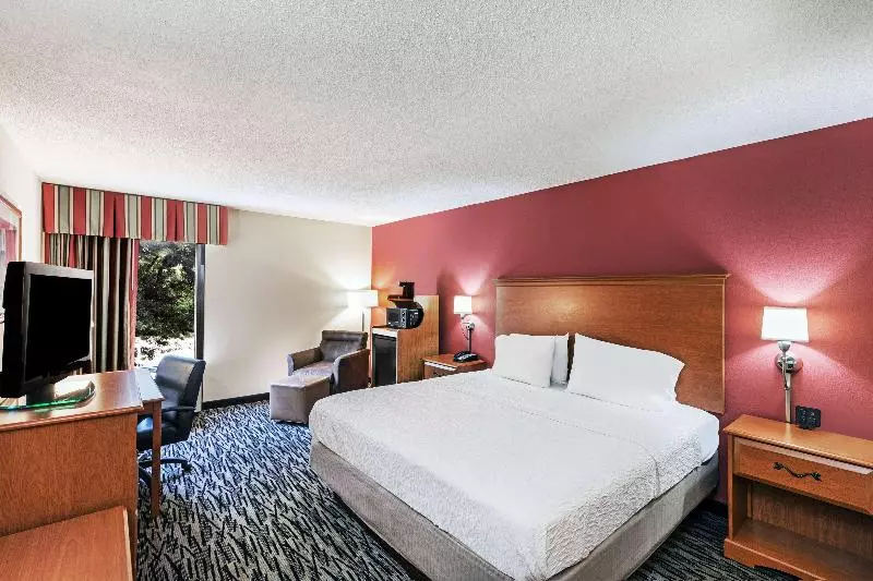 キングサイズベッドのスタンダードルーム, Hampton Inn Aiken